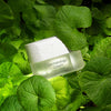 DERMATOLOGY CREAM